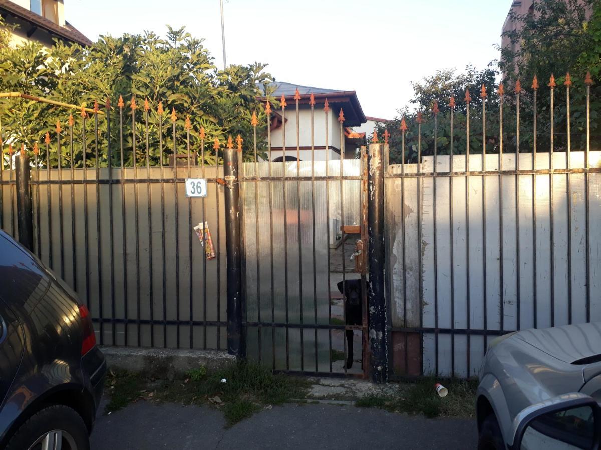 Tobyta Nu Primesc Santieristi Si Petrecareti Case de vacanță